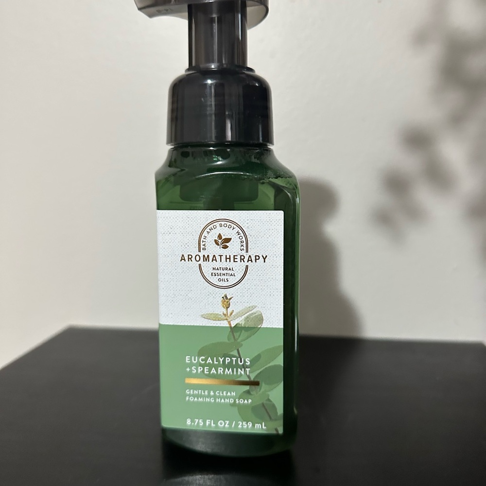 Bath and Bodyworks Aromatherapy Eucalyptus Spearmint Foaming Hand Soap